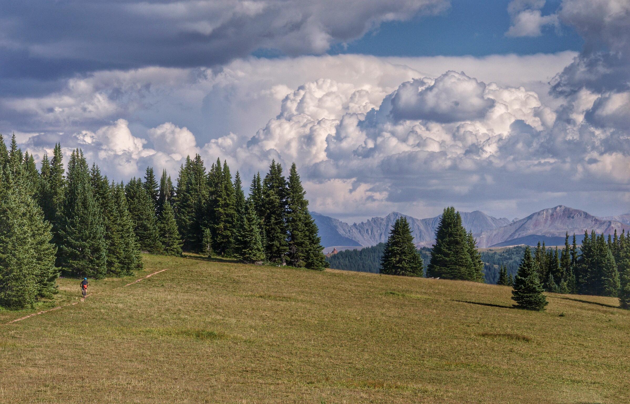 A scenic landscape featuring a grassy field bordered by tall evergreen trees, under a partly cloudy sky with large, fluffy clouds. In the distance, mountains rise against the horizon, adding depth to the serene outdoor setting. A lone hiker is seen walking along a trail winding through the field. Vail Mountain Bike Park mountain bike trail.