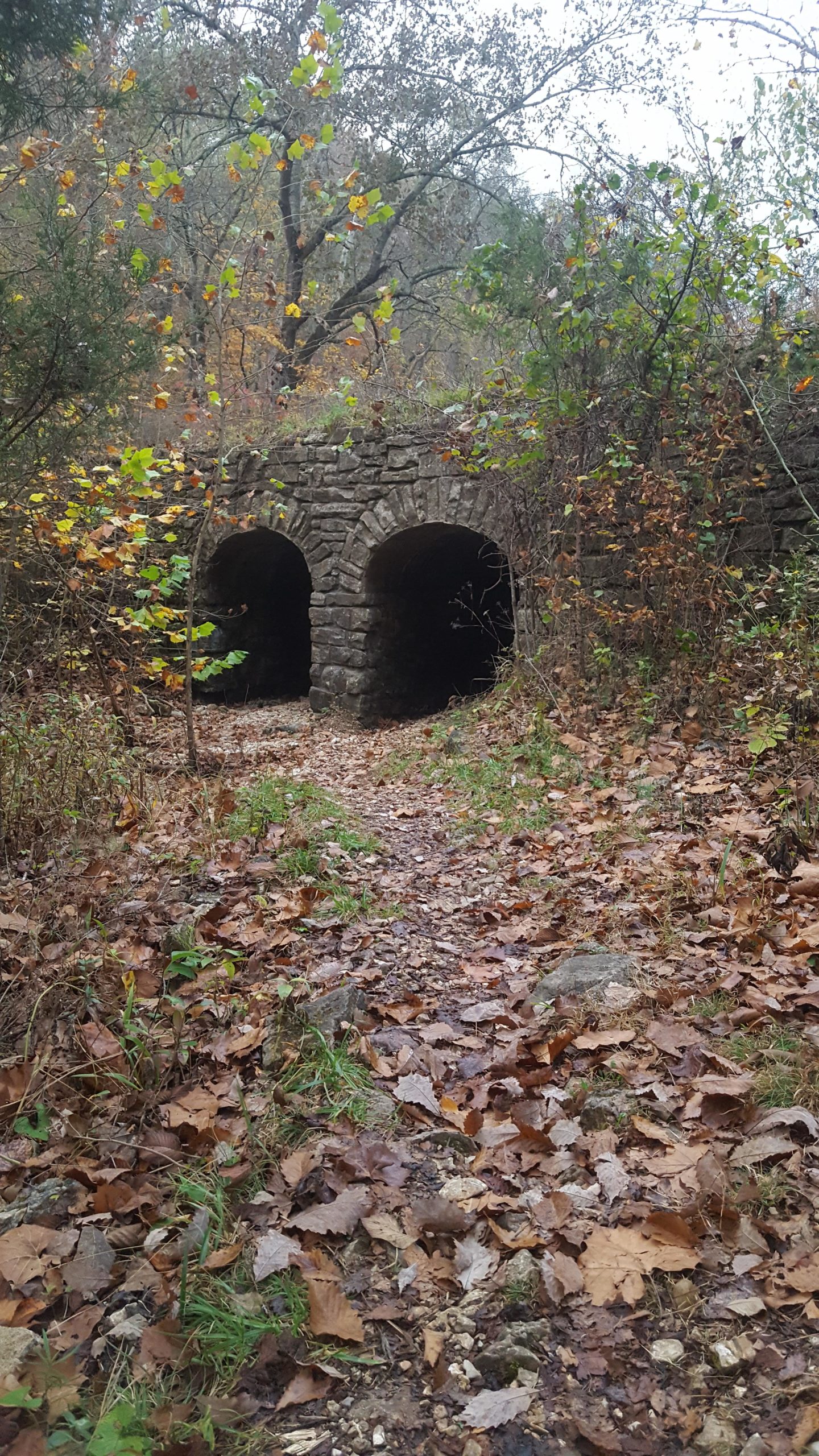A stone archway with two openings, partially obscured by overgrown vegetation and autumn leaves. The surrounding ground is covered in fallen leaves, leading up to the archway, which is framed by trees and shrubs. The scene conveys a sense of nature reclaiming the structure. Lake Leatherwood Gravity Project mountain bike trail.