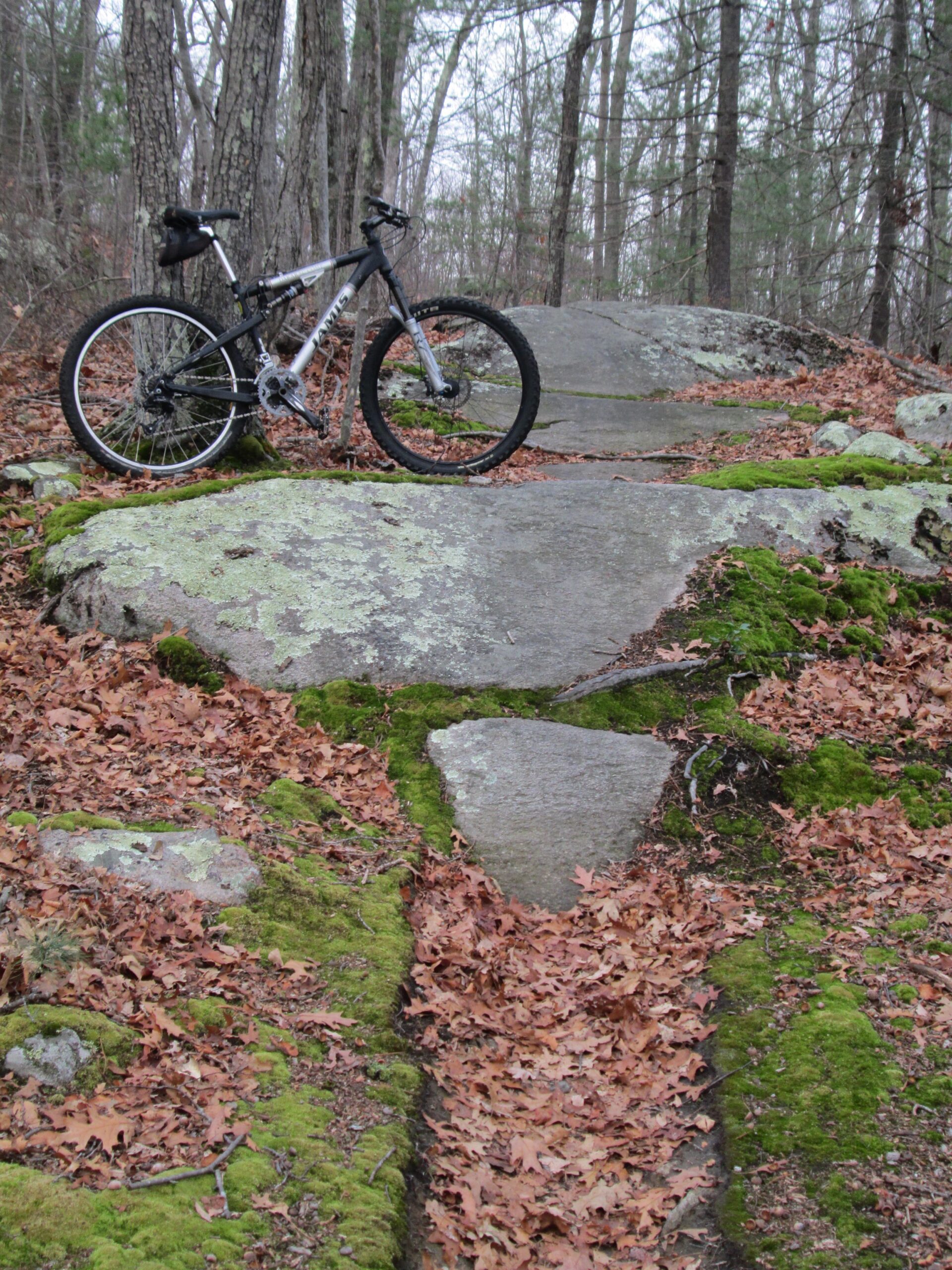 Jamis Dakar XC: A mountain bike rests on large rocks surrounded by patches of green moss and fallen leaves in a wooded area. The scene features a mix of bare trees and a rocky path, suggesting an outdoor trail suitable for biking.