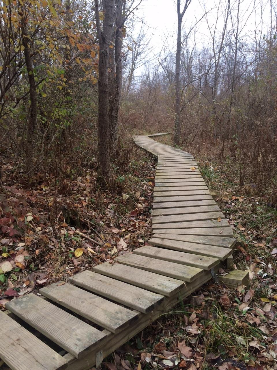 A winding wooden boardwalk path through a forest, surrounded by trees and autumn foliage, with fallen leaves scattered along the ground. The scene is tranquil and captures the essence of a nature trail. Alum Creek Phase I mountain bike trail.