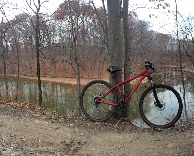 A red mountain bike leaning against a tree near a calm body of water, surrounded by autumn foliage and bare trees. The ground is covered with fallen leaves, and the scene is set in a wooded area during a cloudy day. Alum Creek Phase I mountain bike trail.