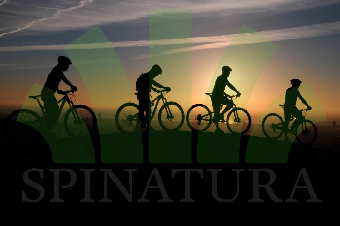 Specialized Camber Comp 29: Silhouettes of four cyclists riding bicycles against a sunset backdrop, with a green graphic overlay and the word "SPINATURA" prominently displayed in the foreground.