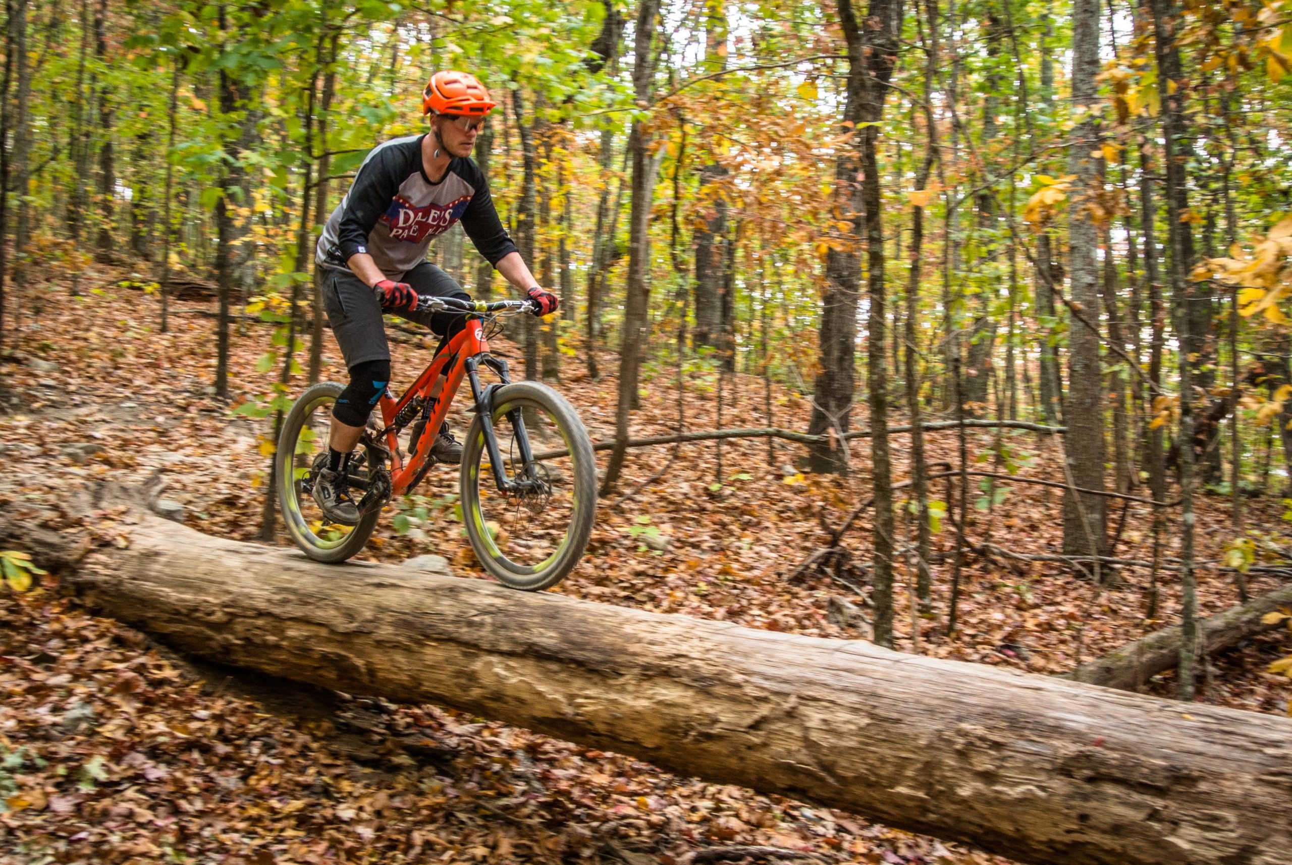 A person riding a mountain bike over a fallen log on a forest trail covered with autumn leaves. The surrounding trees display vibrant fall colors, creating a scenic outdoor setting. The cyclist is wearing an orange helmet and gloves, focusing on navigating the terrain. Coldwater Mountain mountain bike trail.