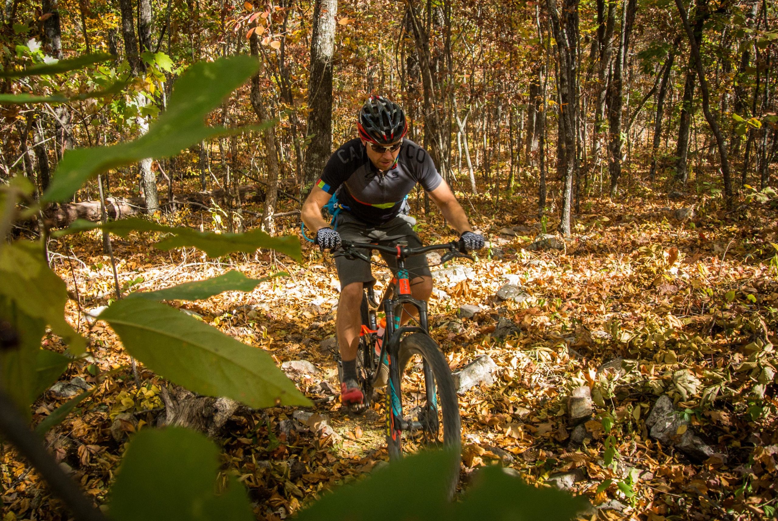 A mountain biker navigating a leaf-covered trail in a forest, surrounded by trees with autumn foliage. The cyclist is focused on the path ahead, wearing a helmet, gloves, and a moisture-wicking shirt. Sunlight filters through the leaves, casting dappled light on the ground. Coldwater Mountain mountain bike trail.