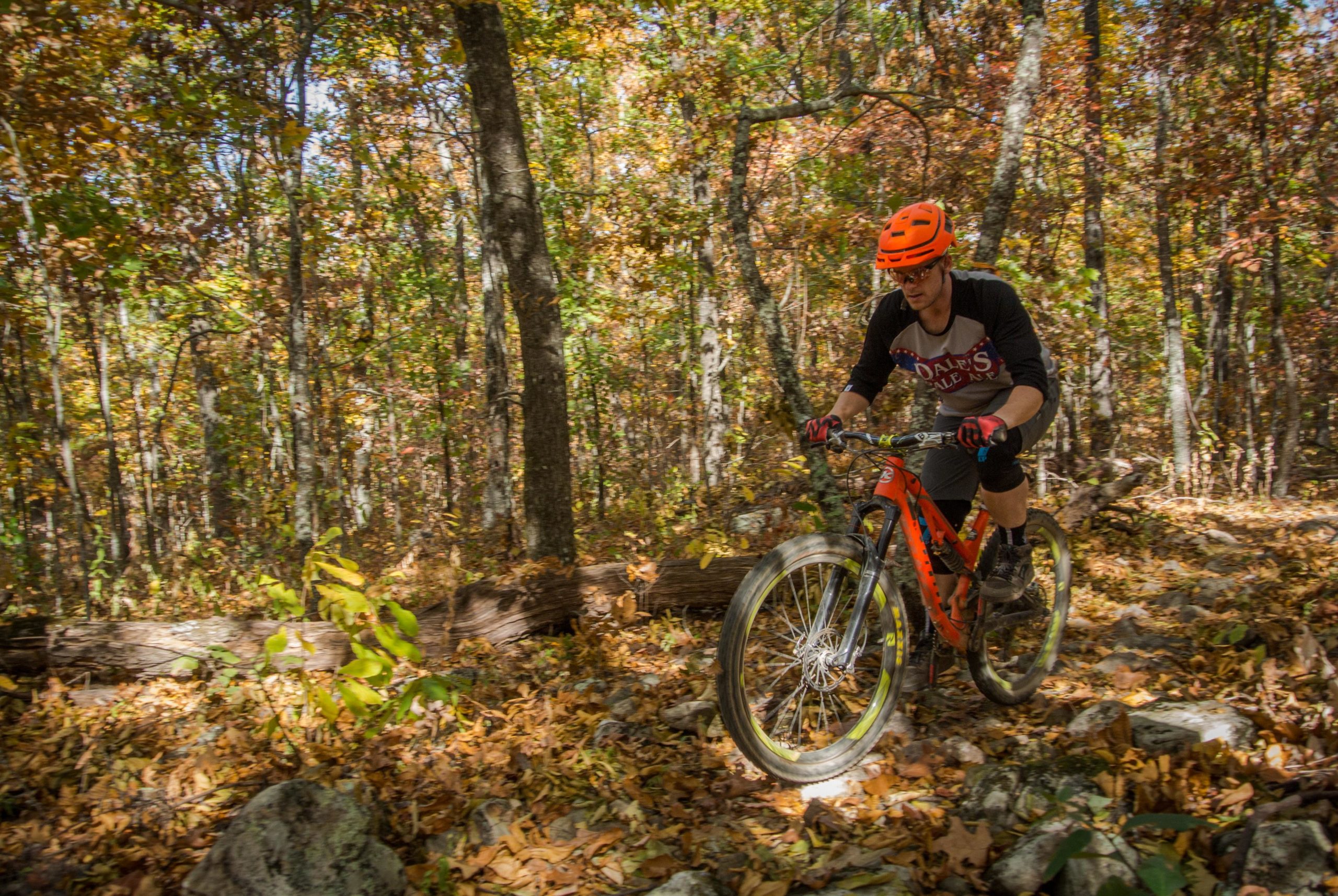 A mountain biker rides on a rocky trail covered with autumn leaves, surrounded by trees with vibrant fall foliage. The biker wears an orange helmet and a black shirt, showcasing an active and adventurous spirit in a scenic outdoor setting. Coldwater Mountain mountain bike trail.