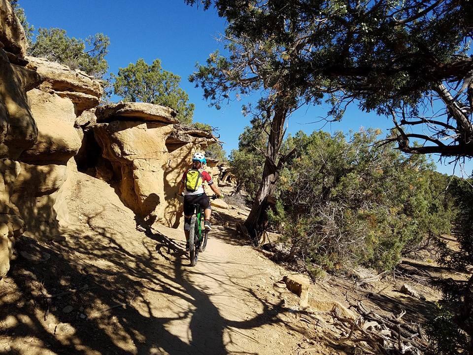 A person riding a mountain bike along a narrow dirt trail surrounded by rocky outcrops and trees, with clear blue skies overhead. The trail is illuminated by sunlight, casting shadows on the ground. Phil's World mountain bike trail.