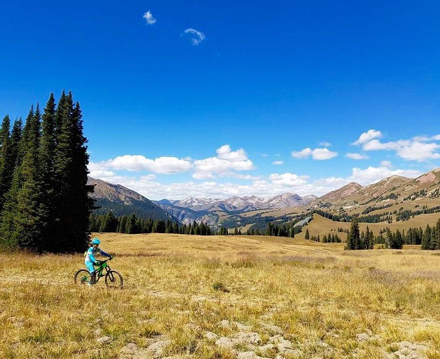A person riding a bicycle through a vast, open field surrounded by mountains, with green pine trees in the foreground and a bright blue sky dotted with fluffy clouds. Trail 401 mountain bike trail.