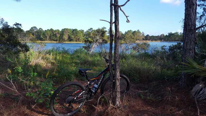 A mountain bike leaning against a tree in a natural setting near a calm lake, surrounded by lush greenery and scattered pine trees under a clear blue sky. Halpatiokee mountain bike trail.