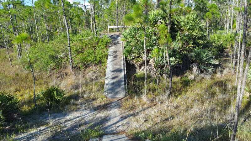 A wooden ramp leading up to a platform, surrounded by tall grass and trees, with palm-like plants on the right side. The scene is set in a natural landscape, indicative of a forested area. Halpatiokee mountain bike trail.