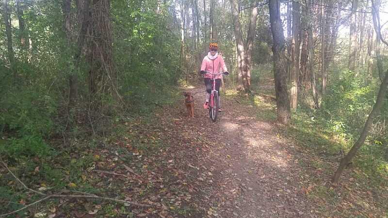 A person wearing a pink jacket and bicycle helmet rides a pink bicycle along a wooded trail, accompanied by a brown dog. The scene is surrounded by lush greenery and fallen leaves, indicating an outdoor activity in nature. DTE Energy Foundation Trail mountain bike trail.