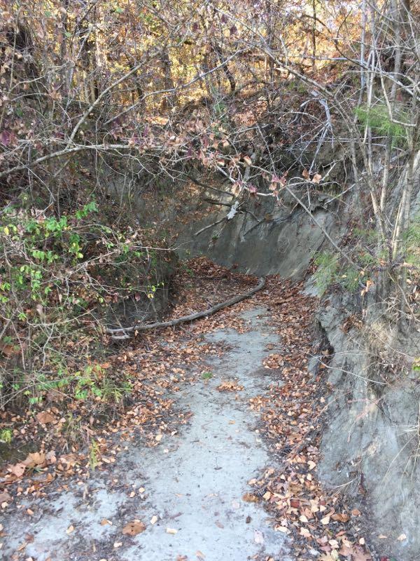 Narrow, winding path through a wooded area, bordered by steep earth banks and scattered autumn leaves on the ground. Branches and shrubs partially overhang the trail, suggesting a quiet and secluded area. Plymouth Bluff mountain bike trail.