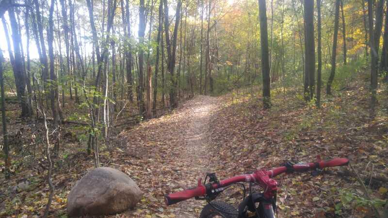 A winding dirt path through a forest with trees displaying autumn foliage. A mountain bike is partially visible in the foreground, resting on the ground near a large rock, surrounded by fallen leaves. Sunlight filters through the trees, creating a serene and tranquil atmosphere. DTE Energy Foundation Trail mountain bike trail.