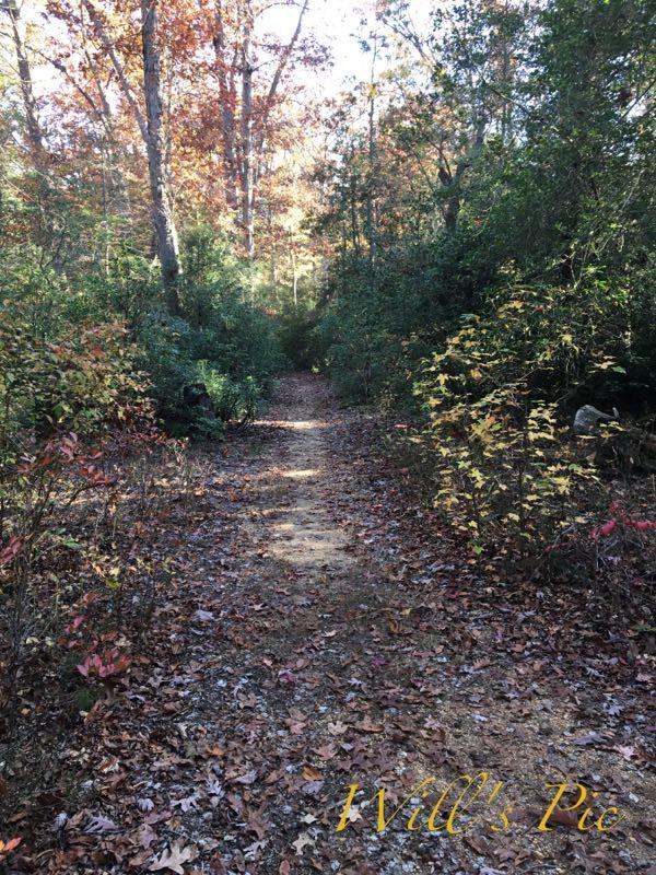 A serene pathway winding through a wooded area, lined with trees showing autumn foliage in shades of orange, yellow, and green. The ground is covered with fallen leaves, and the path appears inviting and tranquil. Parvin State Park mountain bike trail.