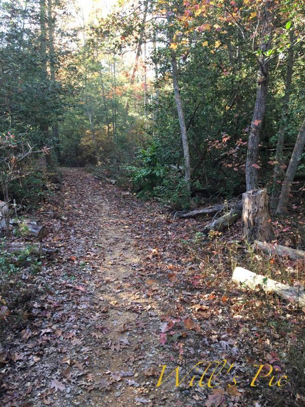 A winding dirt path through a wooded area, surrounded by trees with autumn foliage and scattered fallen leaves on the ground. A tree stump can be seen on the right side of the path. Soft sunlight filters through the trees, creating a serene and tranquil atmosphere. Parvin State Park mountain bike trail.