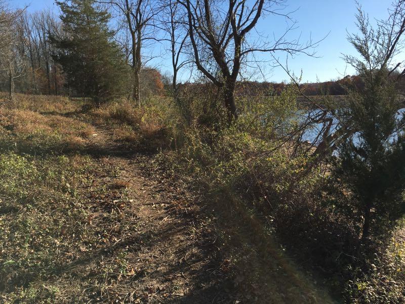 A narrow dirt path bordered by trees and shrubs, leading to a calm body of water under a clear blue sky. The scene captures the essence of a quiet, natural setting with autumn foliage in the background. Marsh Creek Park mountain bike trail.