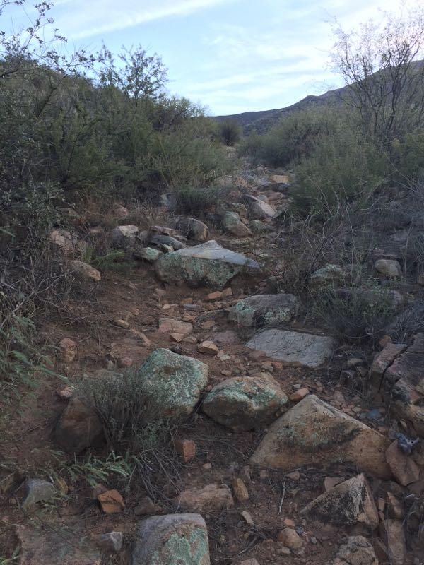 Rocky hiking trail surrounded by sparse vegetation and mountains in the distance. The path is uneven with various sizes of rocks and stones scattered along the way. Park Trail #66 mountain bike trail.