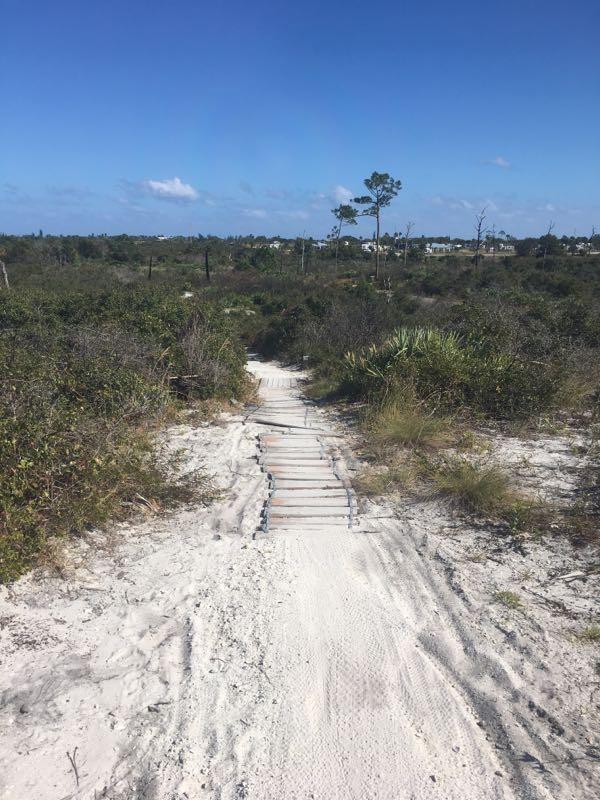 A sandy path winding through greenery, featuring a wooden boardwalk that leads into the landscape, under a clear blue sky with a few clouds. Jonathan Dickinson State Park mountain bike trail.