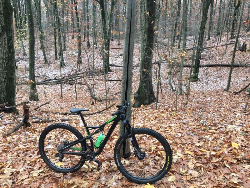 A mountain bike is resting on a bed of fallen leaves in a wooded area, surrounded by tall trees. The ground is partially covered in autumn leaves, and some tree branches are visible in the background. The scene conveys a peaceful, natural environment, ideal for outdoor activities. Richmond Avenue and Forest Hill road mountain bike trail.