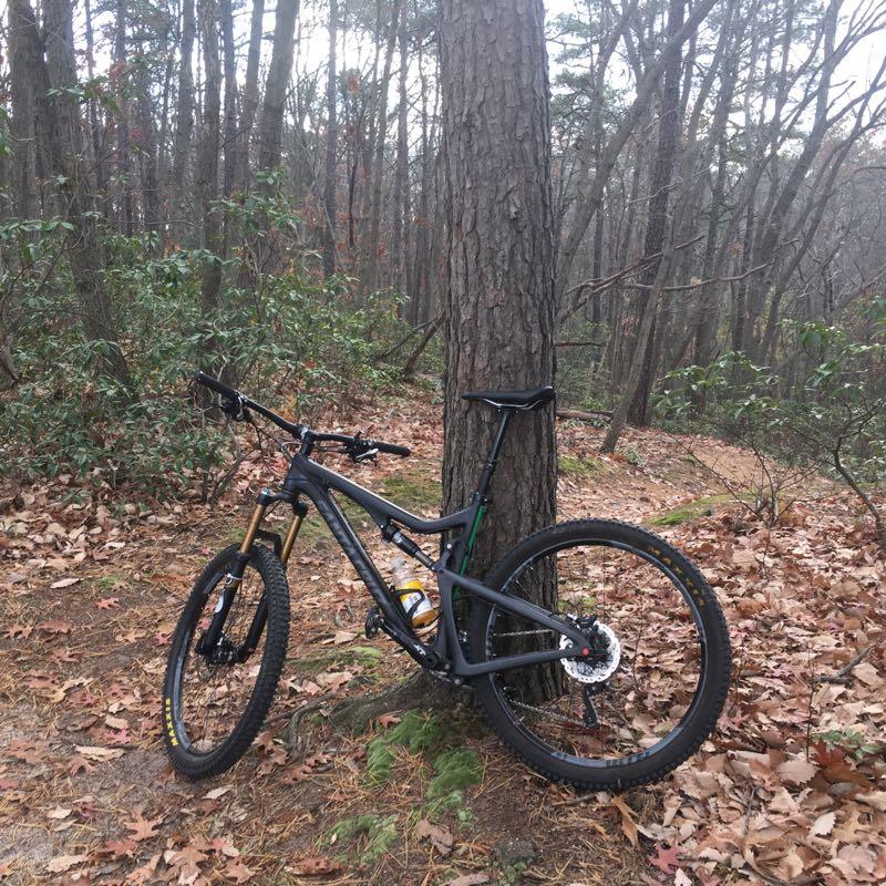 A mountain bike leaning against a tree in a wooded area, surrounded by fallen leaves and greenery. The setting suggests a peaceful outdoor environment, ideal for cycling. Camden County College mountain bike trail.