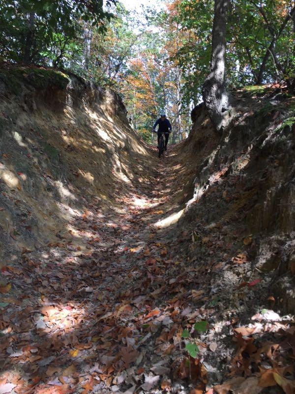 A narrow, sunlit trail surrounded by trees, with a person walking through fallen leaves on the ground. The path is flanked by steep, sandy edges, showcasing a serene autumn landscape with colorful foliage. Camden County College mountain bike trail.