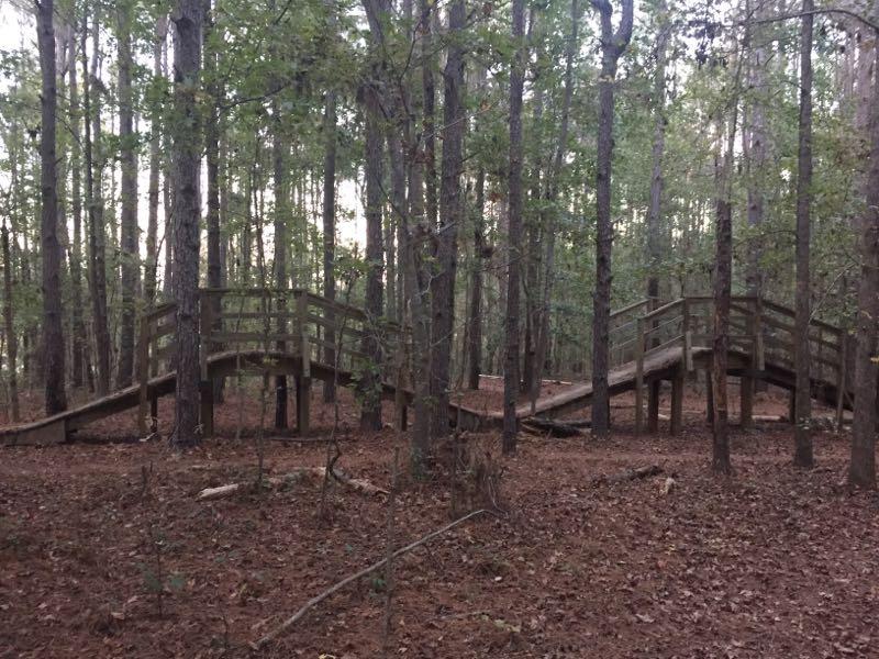 Two wooden bridges arching over a forested area, surrounded by tall trees and a carpet of pine needles on the ground. The scene is quiet and natural, depicting a serene woodland path. Cadillac mountain bike trail.