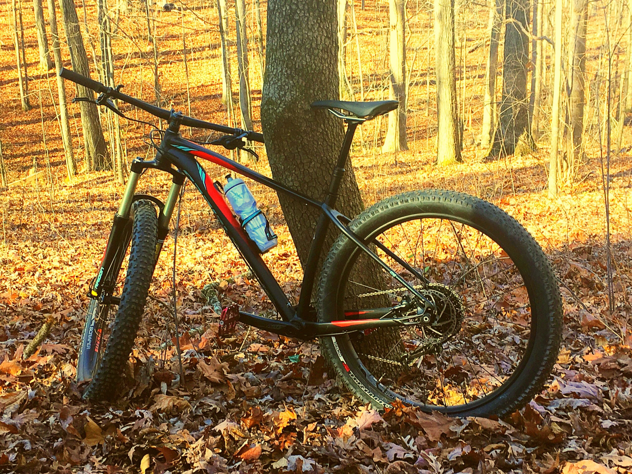 Mountain bike leaning against a tree in a wooded area, surrounded by autumn leaves. The scene is illuminated by warm sunlight filtering through the trees. Charleston Park mountain bike trail.