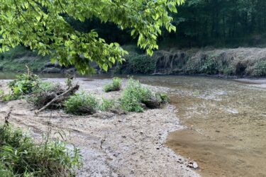 A peaceful riverbank scene featuring a gently flowing river surrounded by green foliage. The area is characterized by sandy shores with patches of grass and small plants, while overhanging branches provide shade. The trees in the background create a serene, natural landscape. South River Trail Prison Farm Loop mountain bike trail.