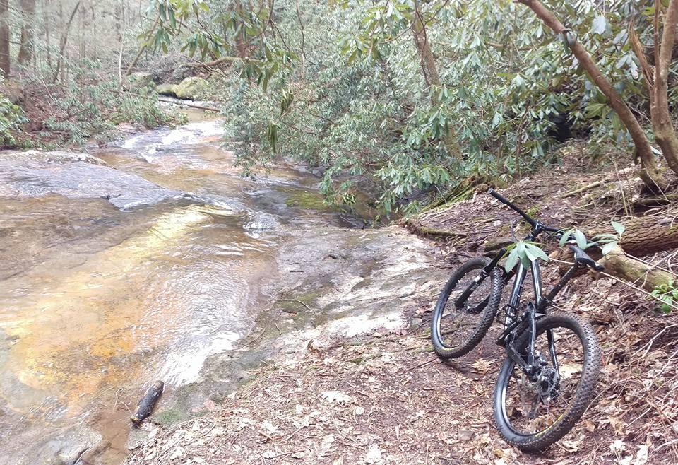 A black mountain bike leaning against a tree near a rocky stream surrounded by greenery and bushes in a forested area. Bull / Jake Mountain mountain bike trail.