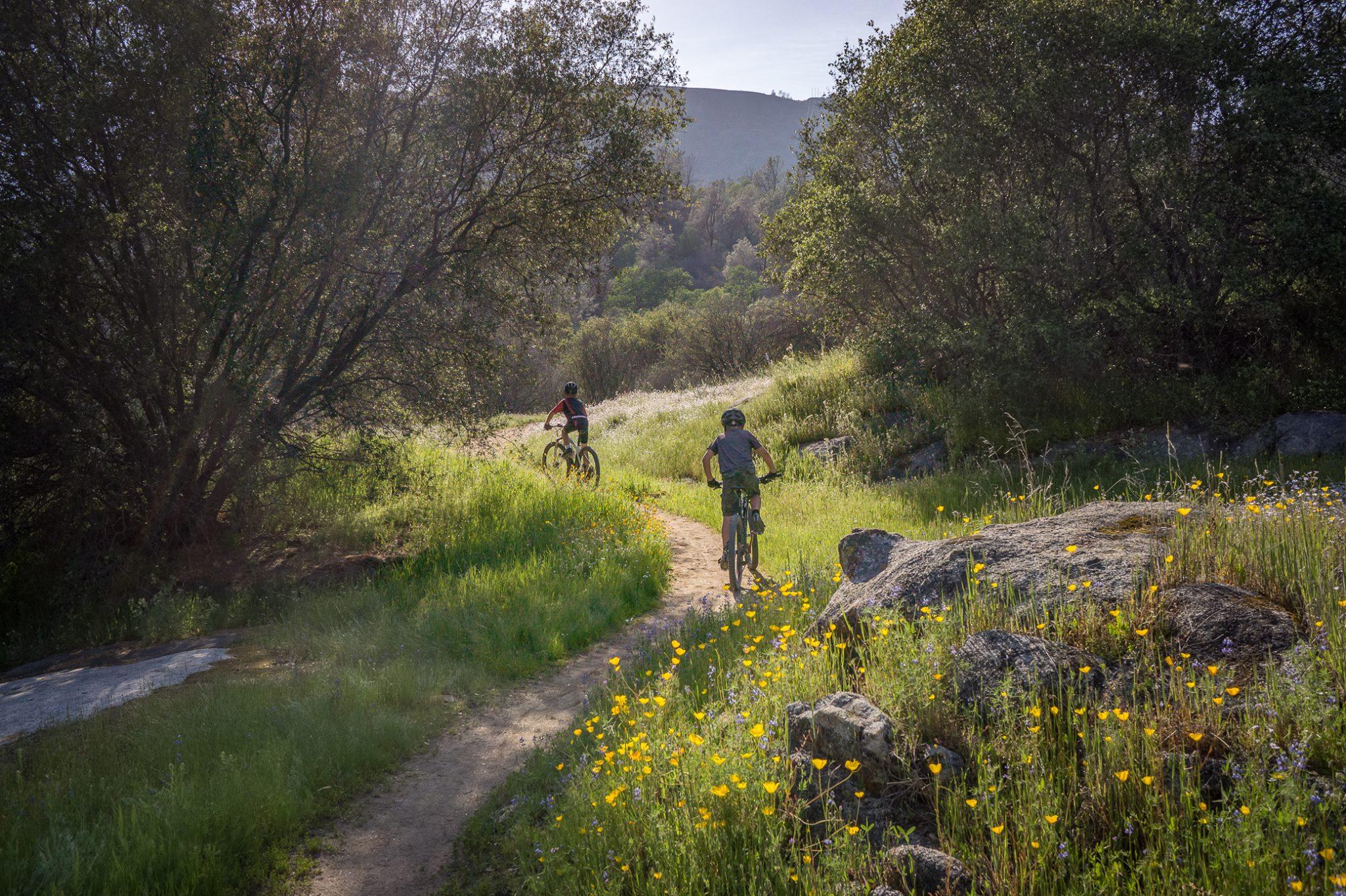 Two cyclists riding on a dirt path through a lush, green landscape filled with wildflowers and surrounded by trees. The sunlight filters through the foliage, creating a warm and inviting atmosphere. San Joaquin River Trail mountain bike trail.