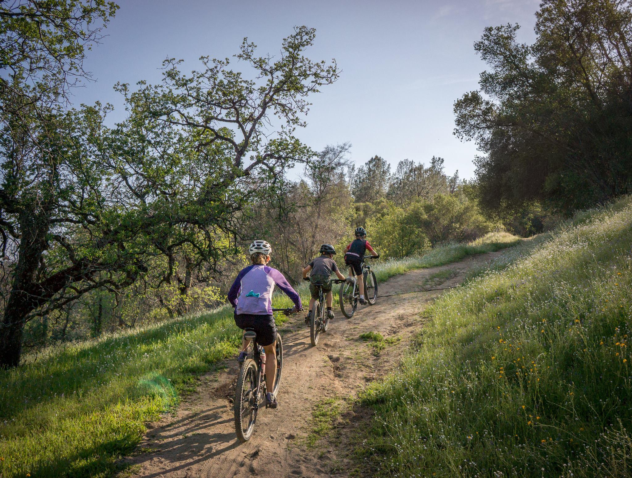 A group of four mountain bikers riding on a dirt trail surrounded by lush greenery and trees on a sunny day. San Joaquin River Trail mountain bike trail.