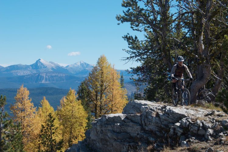 A mountain biker navigating rocky terrain with a backdrop of vibrant autumn trees and snow-capped mountains under a clear blue sky.