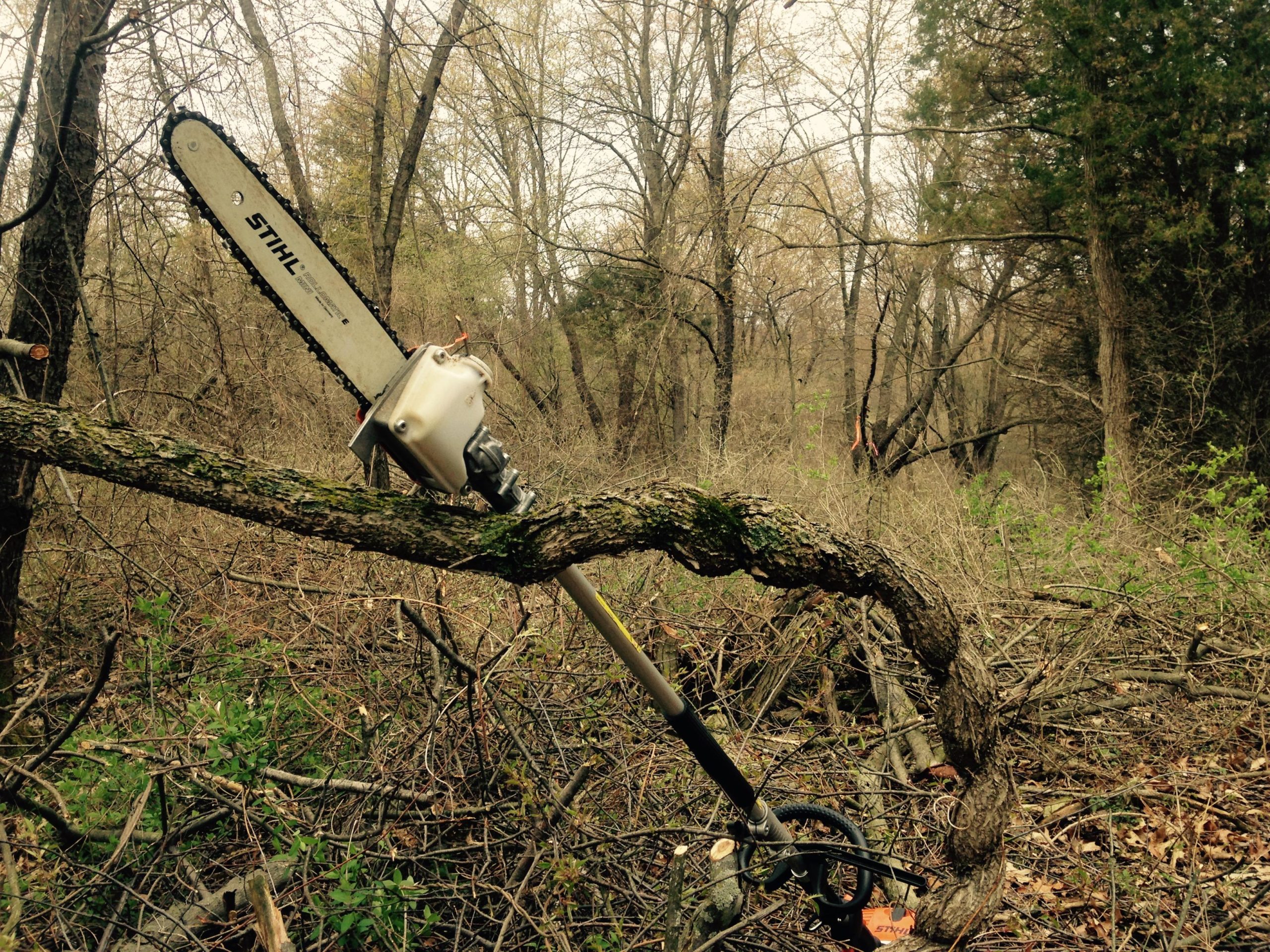 A chainsaw resting against a twisted tree branch in a wooded area, surrounded by sparse foliage and fallen branches in early spring. DTE Energy Foundation Trail mountain bike trail.