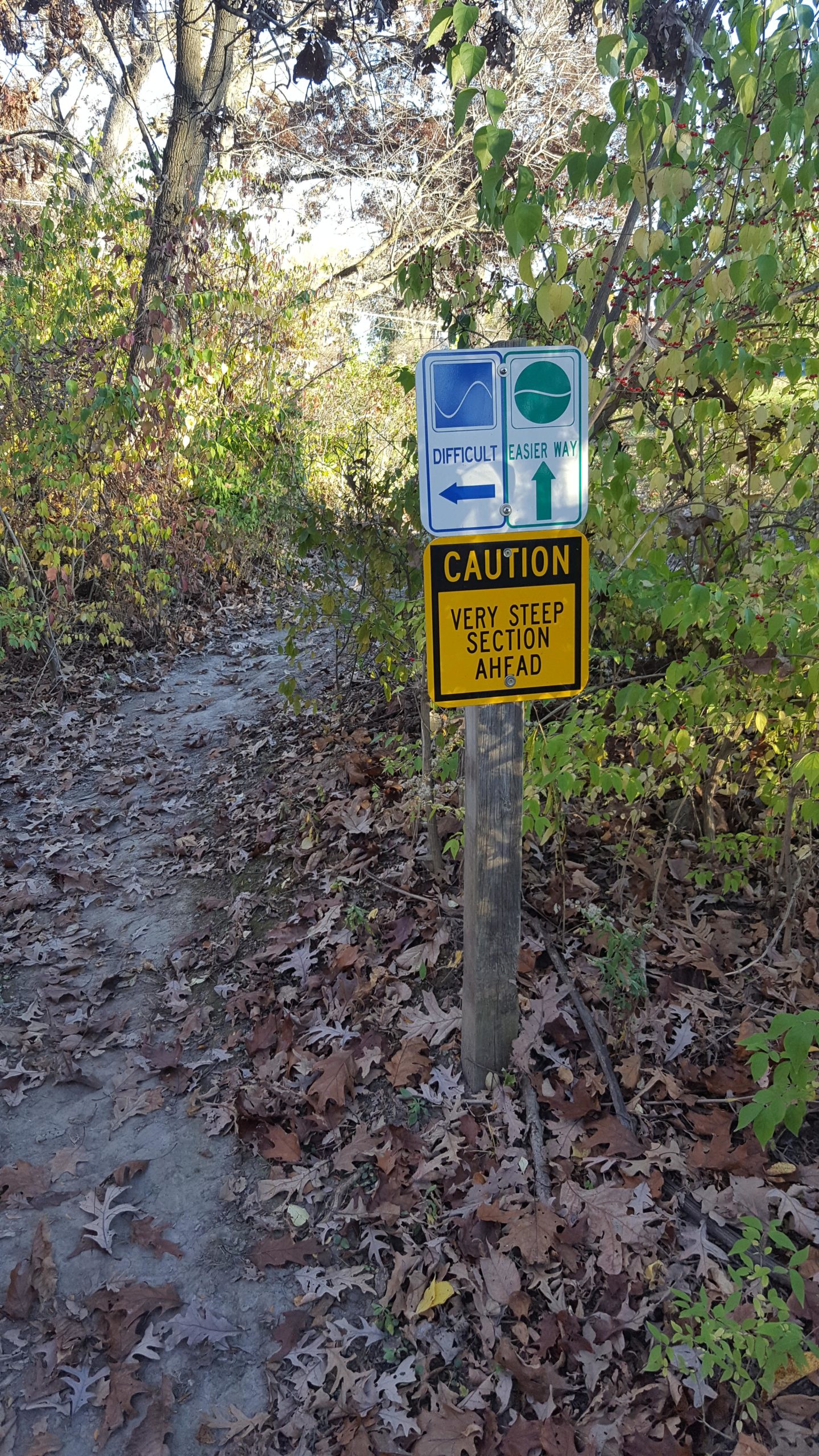 A trail sign at a wooded area indicating two paths: one marked as "Difficult" with an arrow pointing left and another marked as "Easier Way" with an upward arrow. A caution sign below warns of a "Very Steep Section Ahead." The ground is covered with fallen leaves, and the surrounding vegetation includes trees and shrubs. Memorial Park Trails mountain bike trail.