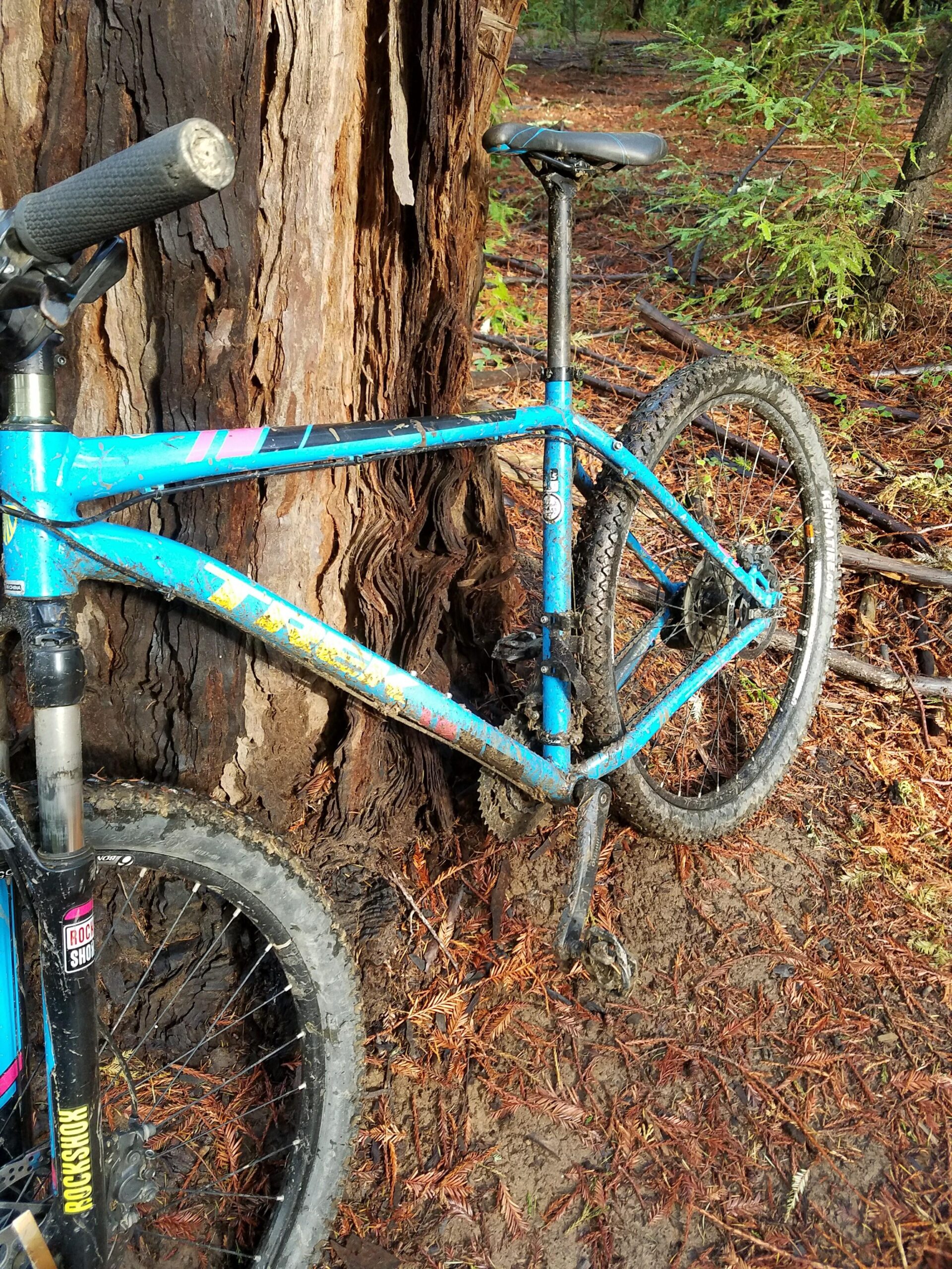 Trek X-Caliber 7: A close-up view of a blue mountain bike resting against the trunk of a tree, surrounded by a forest floor covered with fallen leaves and dirt. The bike shows signs of use, including muddy tires and scratches on the frame.