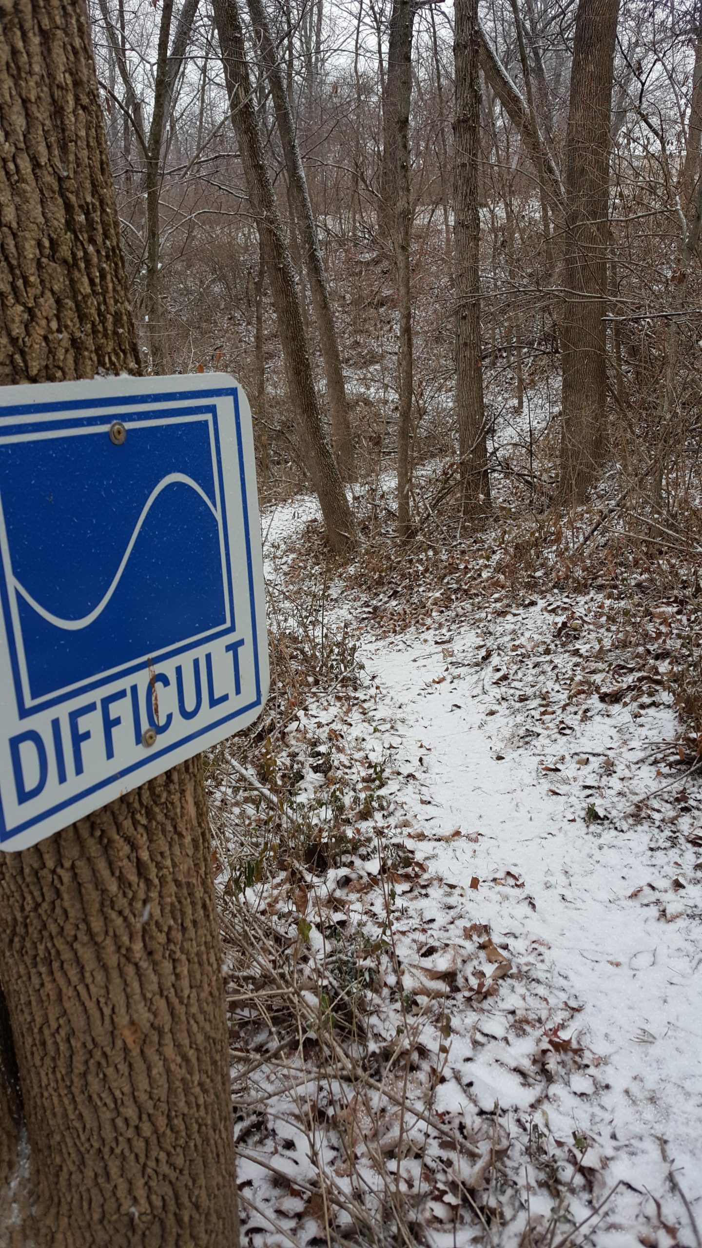 A trail sign marked "DIFFICULT" is attached to a tree, with a winding dirt path visible in the background. The scene is set in a wooded area with bare trees and a light dusting of snow on the ground and fallen leaves. Memorial Park Trails mountain bike trail.