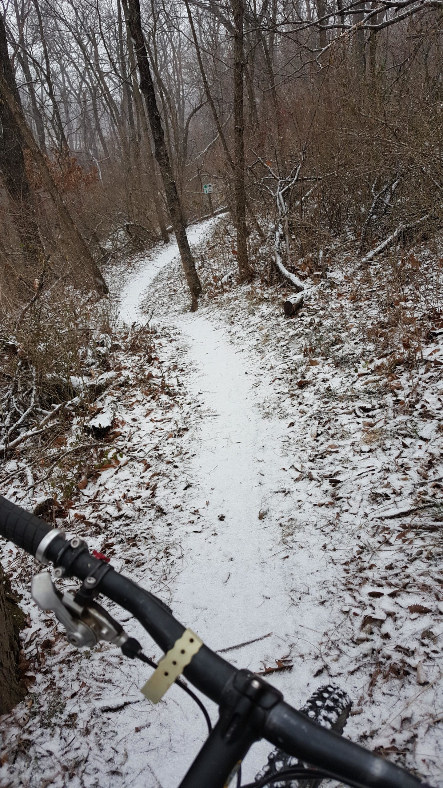 A snowy dirt bike trail winding through a wooded area, with the perspective showing the handlebars of a mountain bike in the foreground. The ground is covered in a light dusting of snow, and trees line the path, creating a serene and tranquil atmosphere. Memorial Park Trails mountain bike trail.