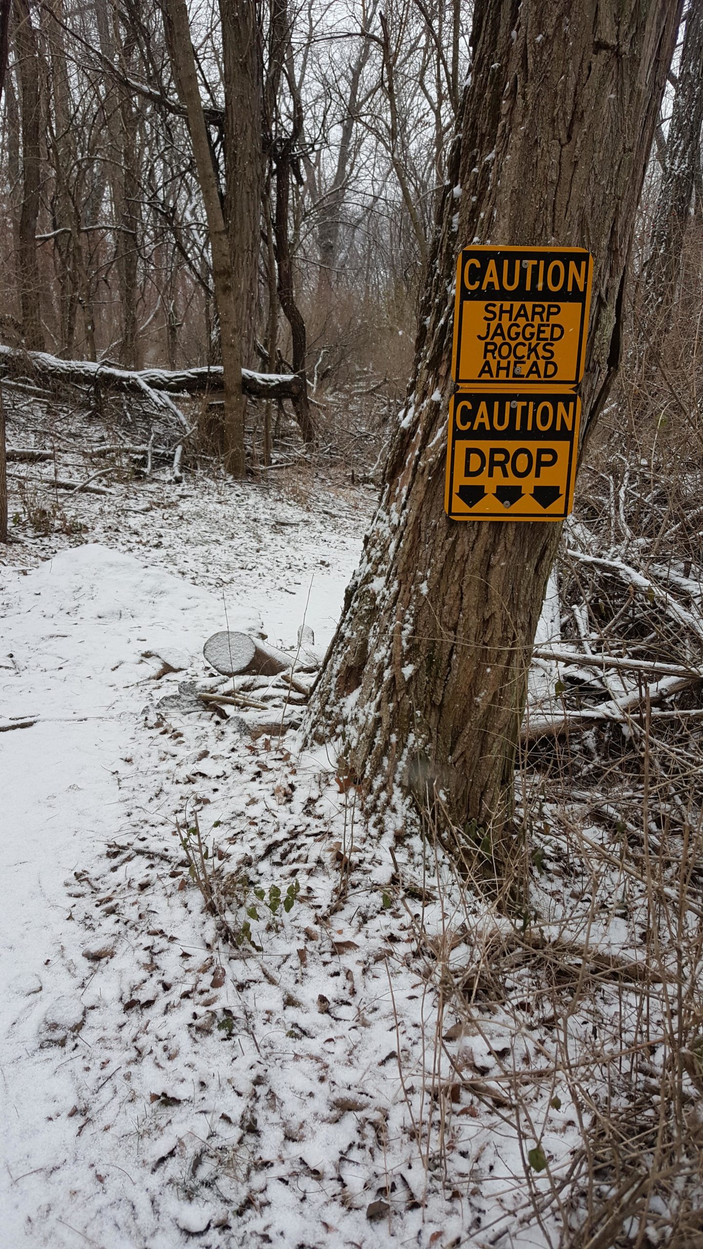 Caution signs indicating "Sharp Jagged Rocks Ahead" and "Drop" are posted on a tree alongside a snowy, leaf-strewn path in a wooded area. The landscape appears desolate with bare trees and a dusting of snow on the ground. Memorial Park Trails mountain bike trail.
