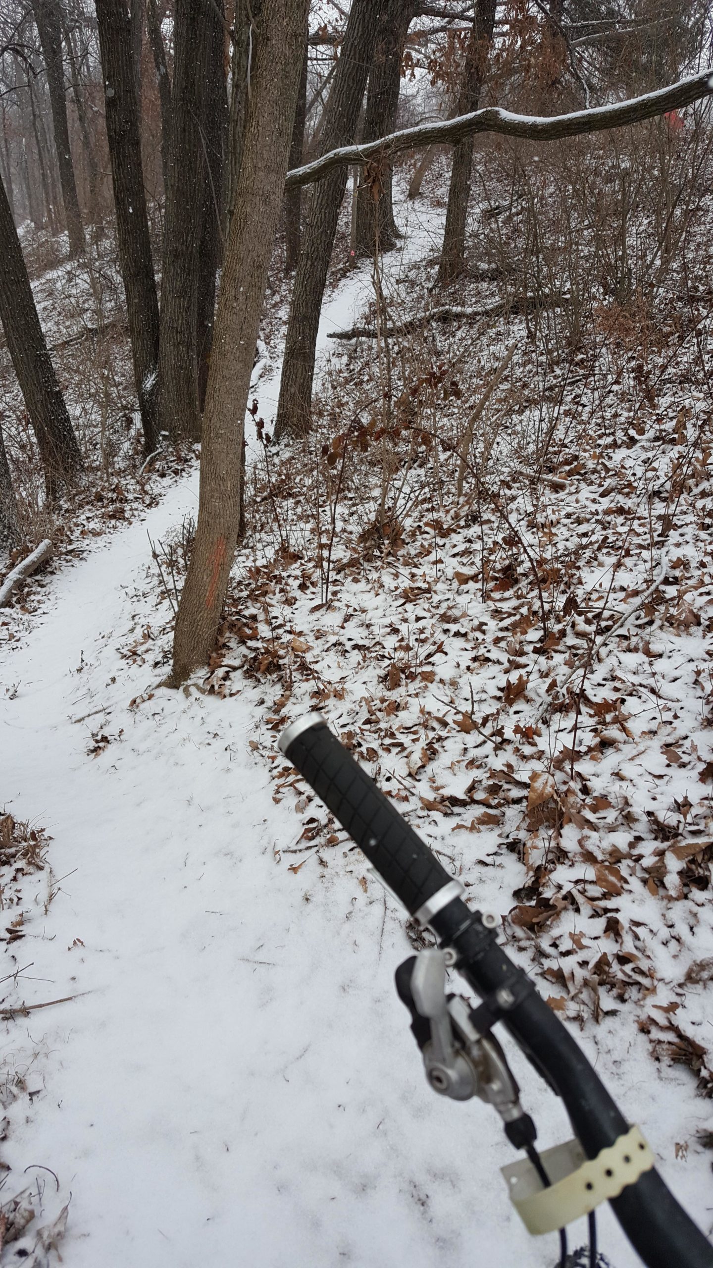 A snowy trail surrounded by trees, viewed from the handlebars of a bicycle. Fallen leaves cover the ground, and a light snowfall is visible, creating a serene winter scene. Memorial Park Trails mountain bike trail.