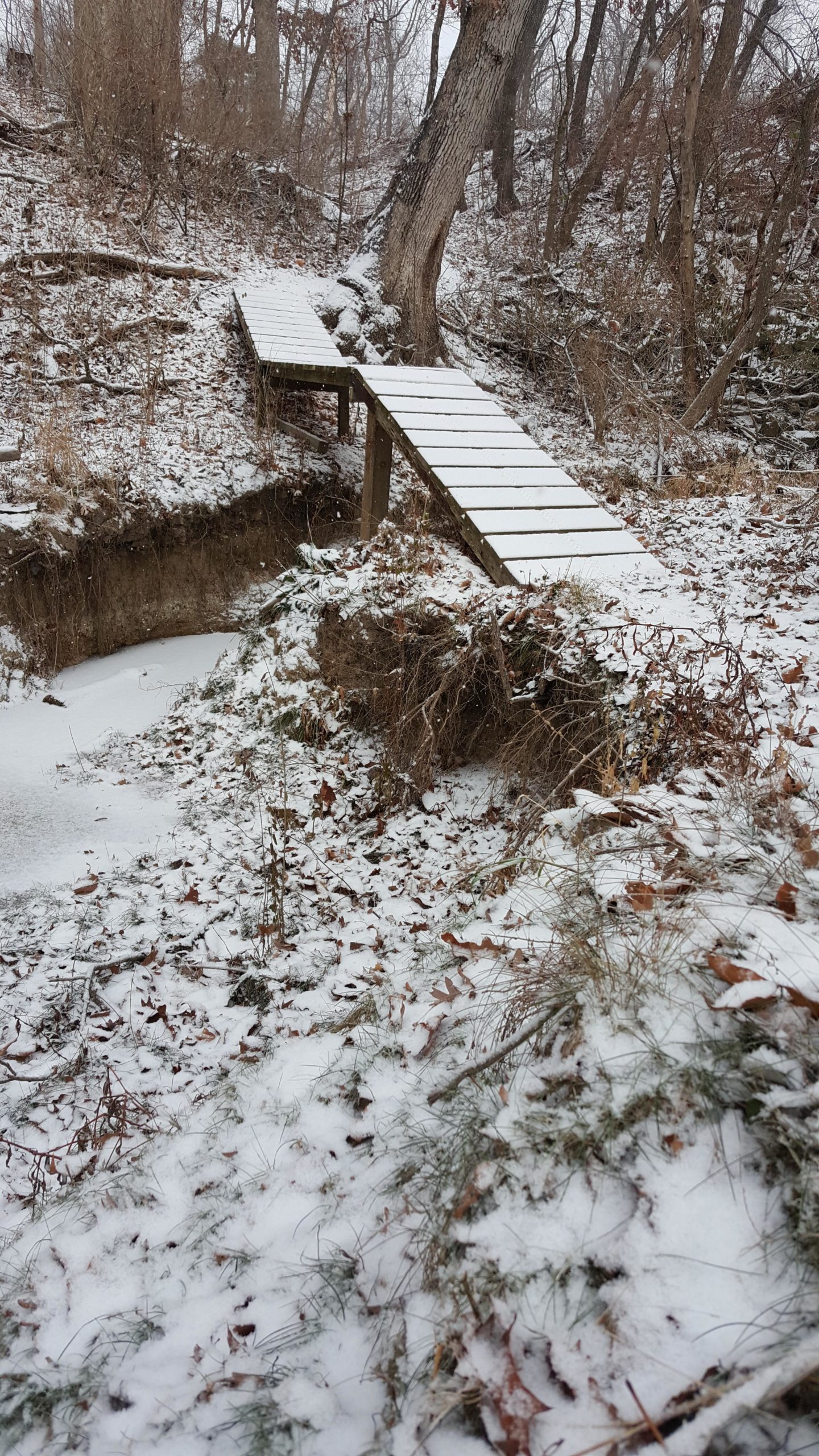 A narrow wooden bridge covered in snow crosses over a small, icy ravine surrounded by trees and brown foliage in a winter landscape. Memorial Park Trails mountain bike trail.