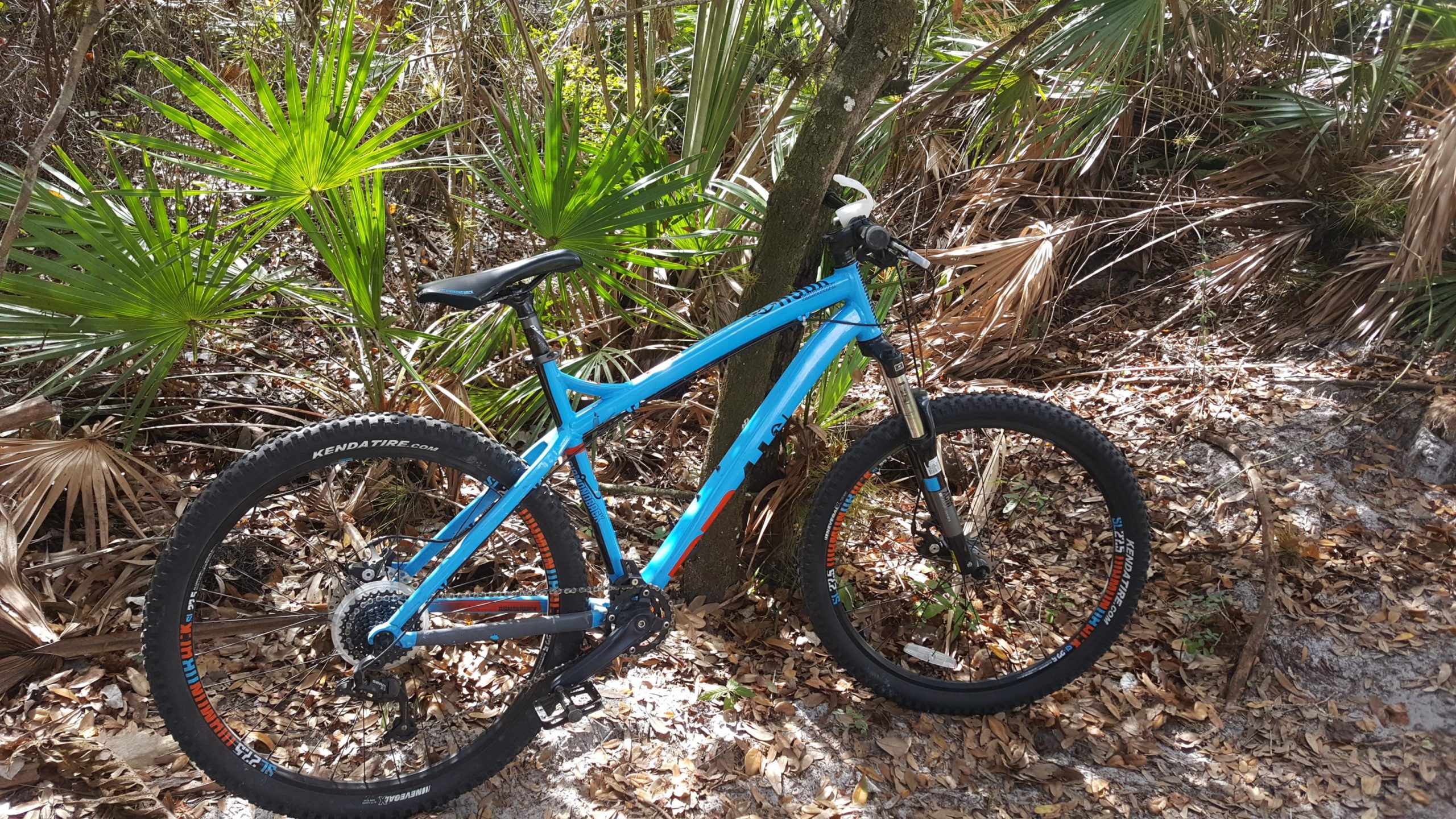 A blue mountain bike leaning against a tree in a dense forested area, surrounded by green palm leaves and dry foliage on the ground. North Port Mountain Bike Trails mountain bike trail.