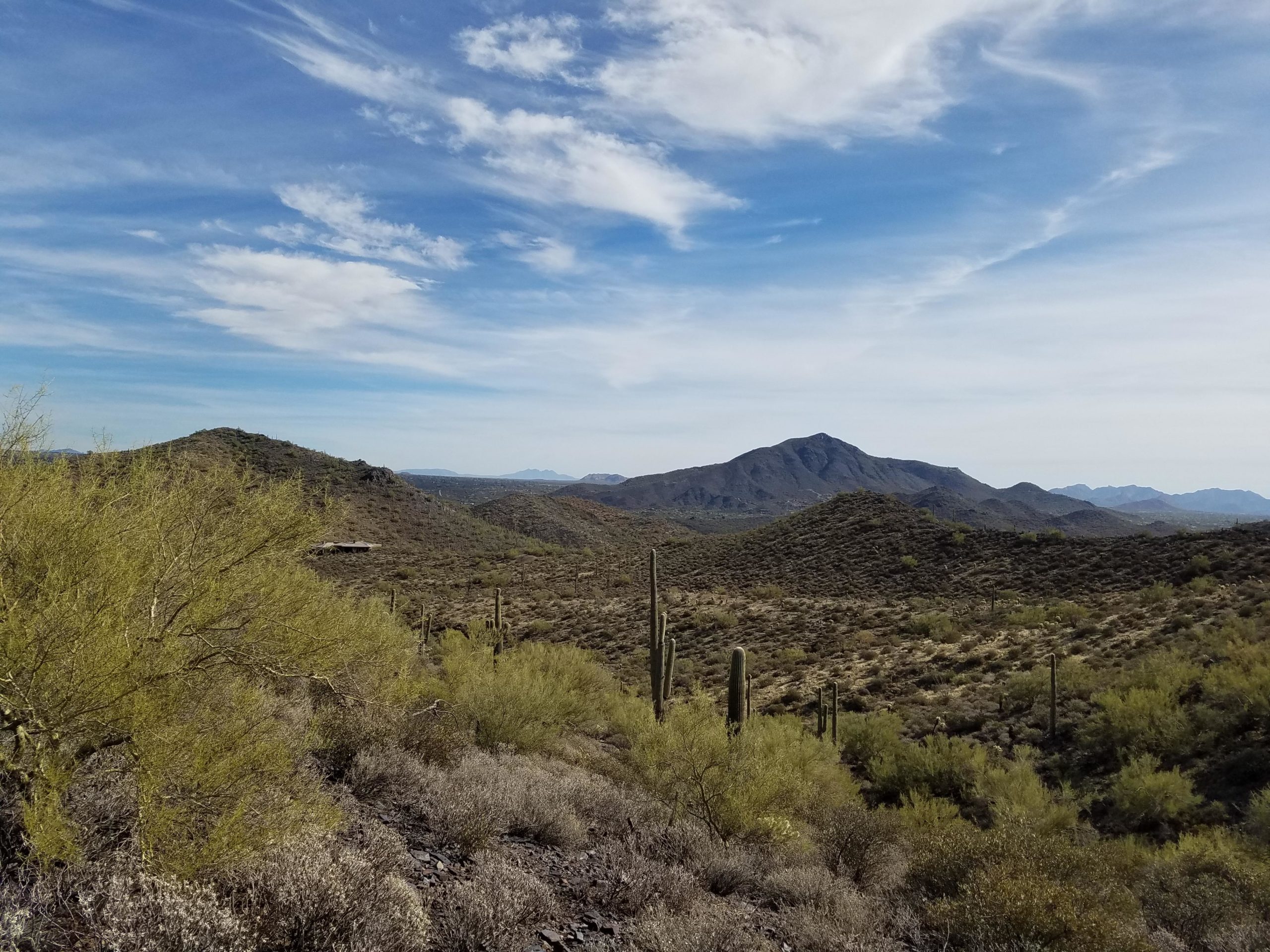 A scenic view of a mountainous landscape with various cacti and vegetation in the foreground, under a partly cloudy blue sky. The rolling hills and distant mountains are visible, showcasing the natural beauty of a desert environment. Cave Creek Park mountain bike trail.
