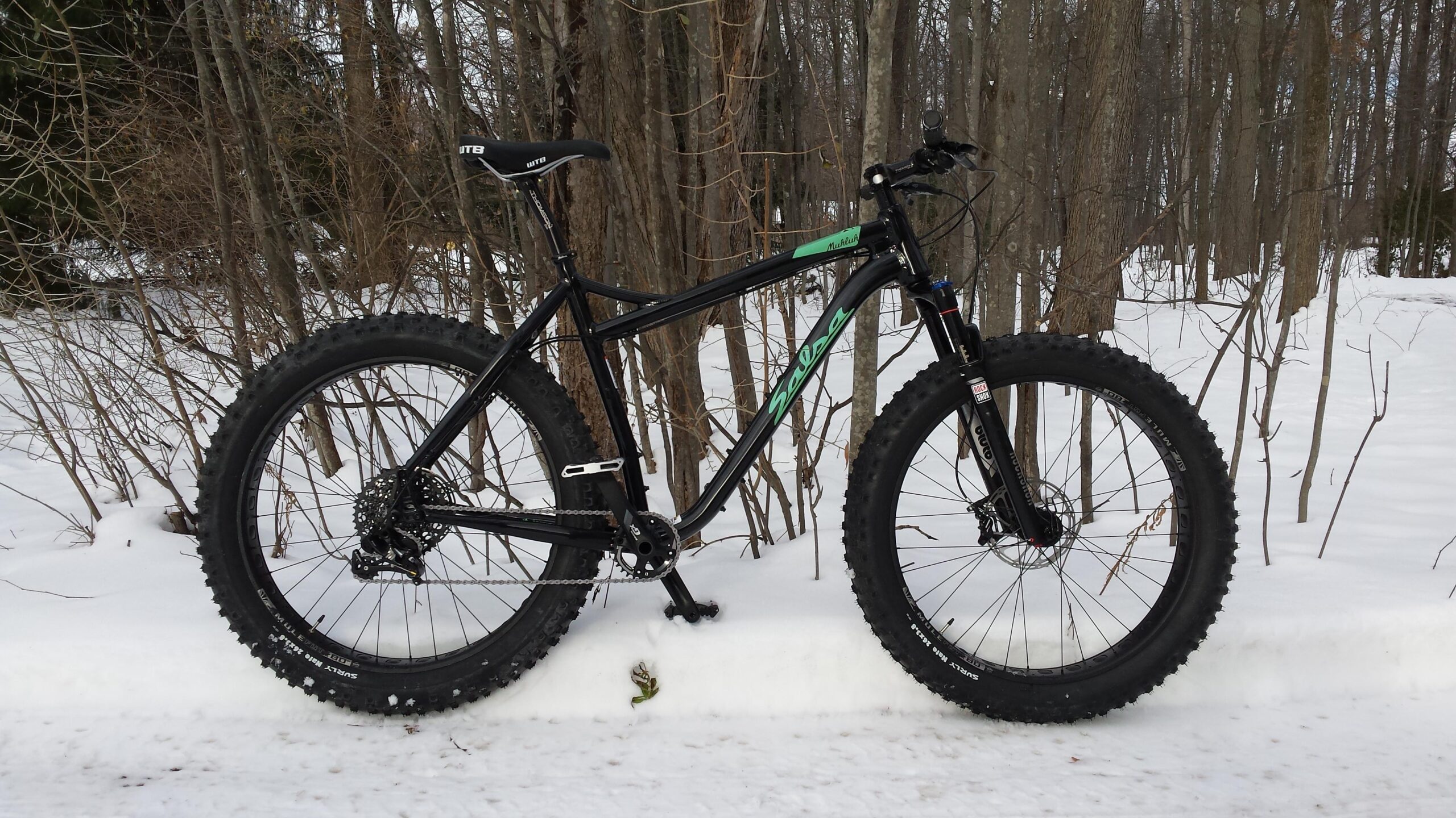 Salsa Mukluk: A black fat tire bike with a green logo, resting on a snow-covered path surrounded by trees. The bike features wide tires designed for stability in winter conditions and has a mountain bike frame.