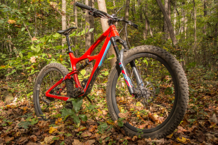 A red mountain bike parked on a bed of fallen leaves in a wooded area, surrounded by green plants and trees. The bike features thick tires, a sturdy frame, and front suspension, with autumn foliage visible in the background.