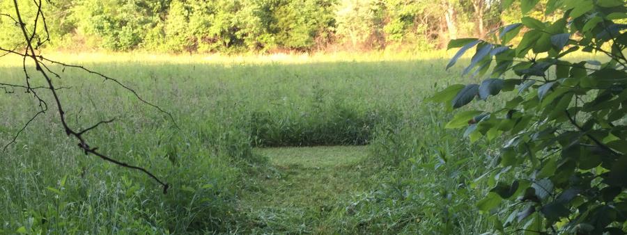 A narrow, mowed path leads through a dense field of tall green grass, surrounded by lush foliage and trees in the background. The scene captures a peaceful, natural landscape illuminated by soft sunlight. Elizabethtown Nature Park mountain bike trail.