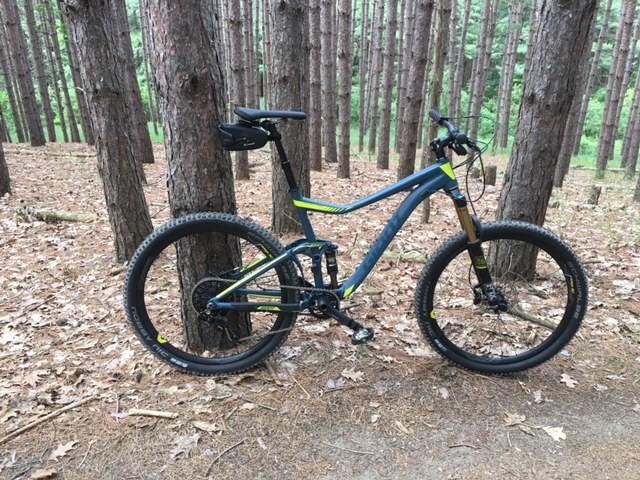 Giant Trance: A mountain bike leaning against a tree in a forest setting, surrounded by tall pine trees and a carpet of pine needles and leaves on the ground. The bike features a blue and yellow color scheme and a dual suspension design.