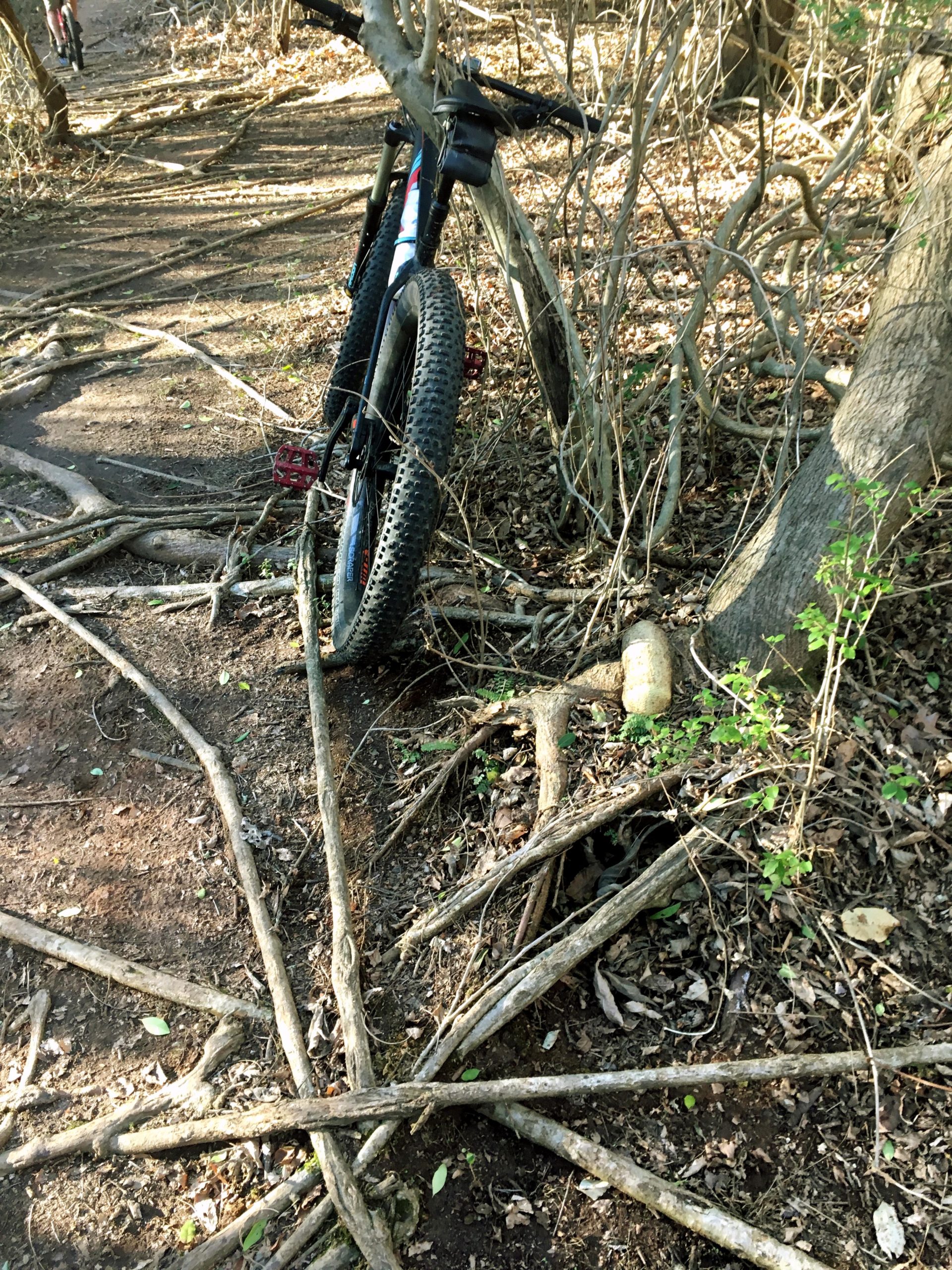 A mountain bike leaning against a tree in a wooded area, surrounded by exposed roots and scattered leaves on the forest floor. A faint path is visible in the background, indicating a biking trail. Charleston Park mountain bike trail.
