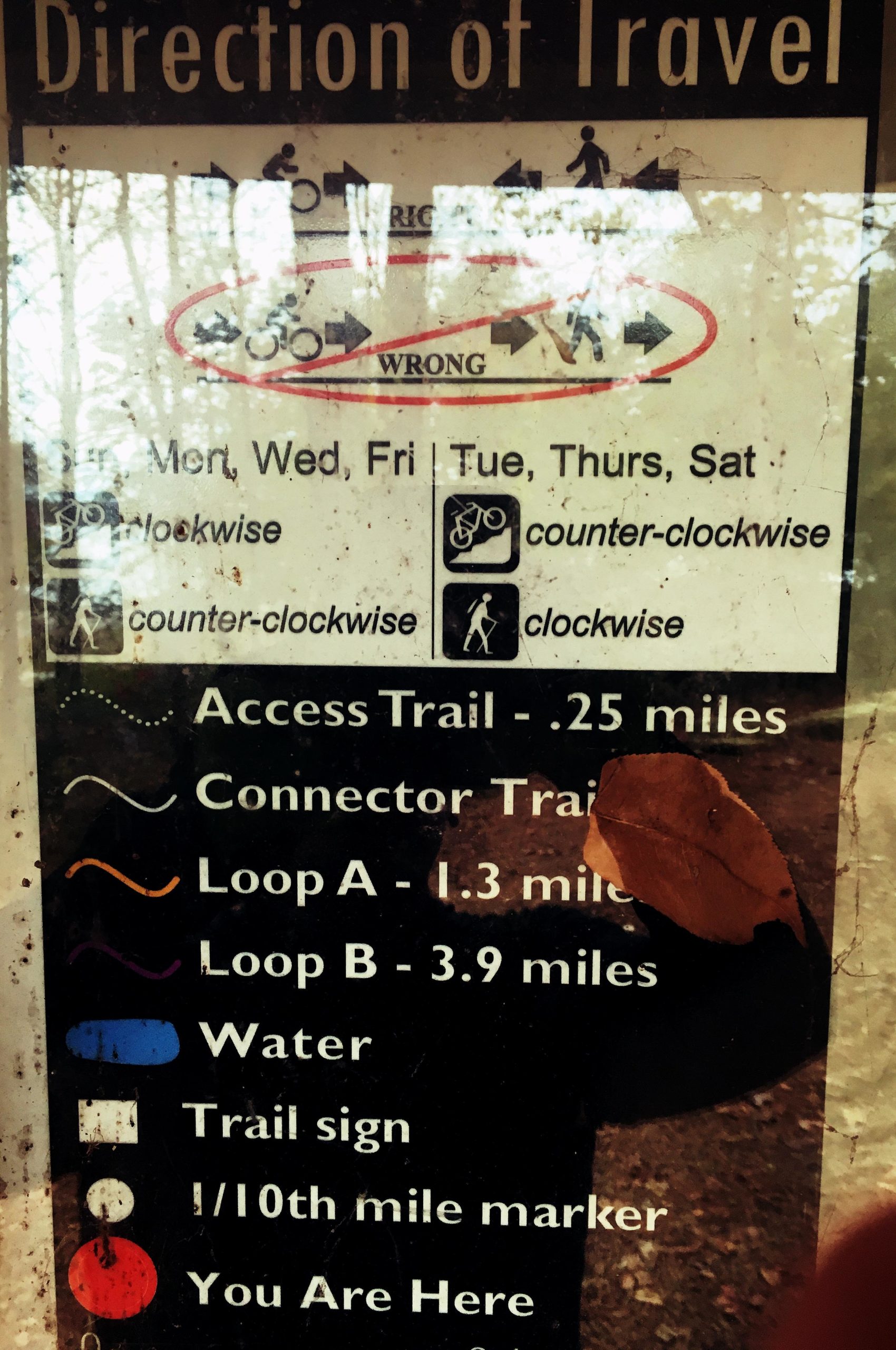 Sign indicating trail usage rules, featuring directions for travel (counter-clockwise for cyclists and clockwise for pedestrians), trail distances, and a key for trail features. The sign has visible dirt and scratches, and it includes a "You Are Here" marker. Charleston Park mountain bike trail.