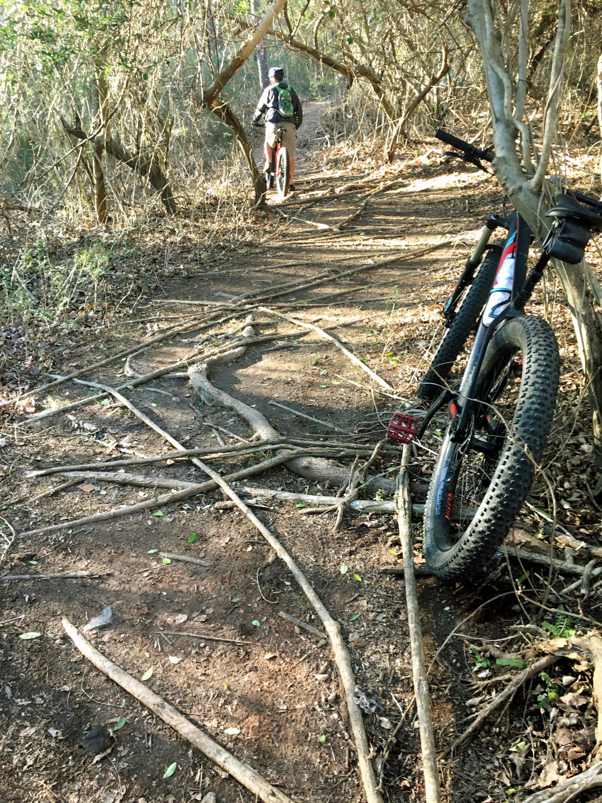A mountain biker navigating a narrow, rough trail surrounded by trees and underbrush. A bicycle is leaned against a tree in the foreground, while the biker is riding further along the path, which is dotted with roots and sticks. The scene is illuminated by soft natural light. Charleston Park mountain bike trail.