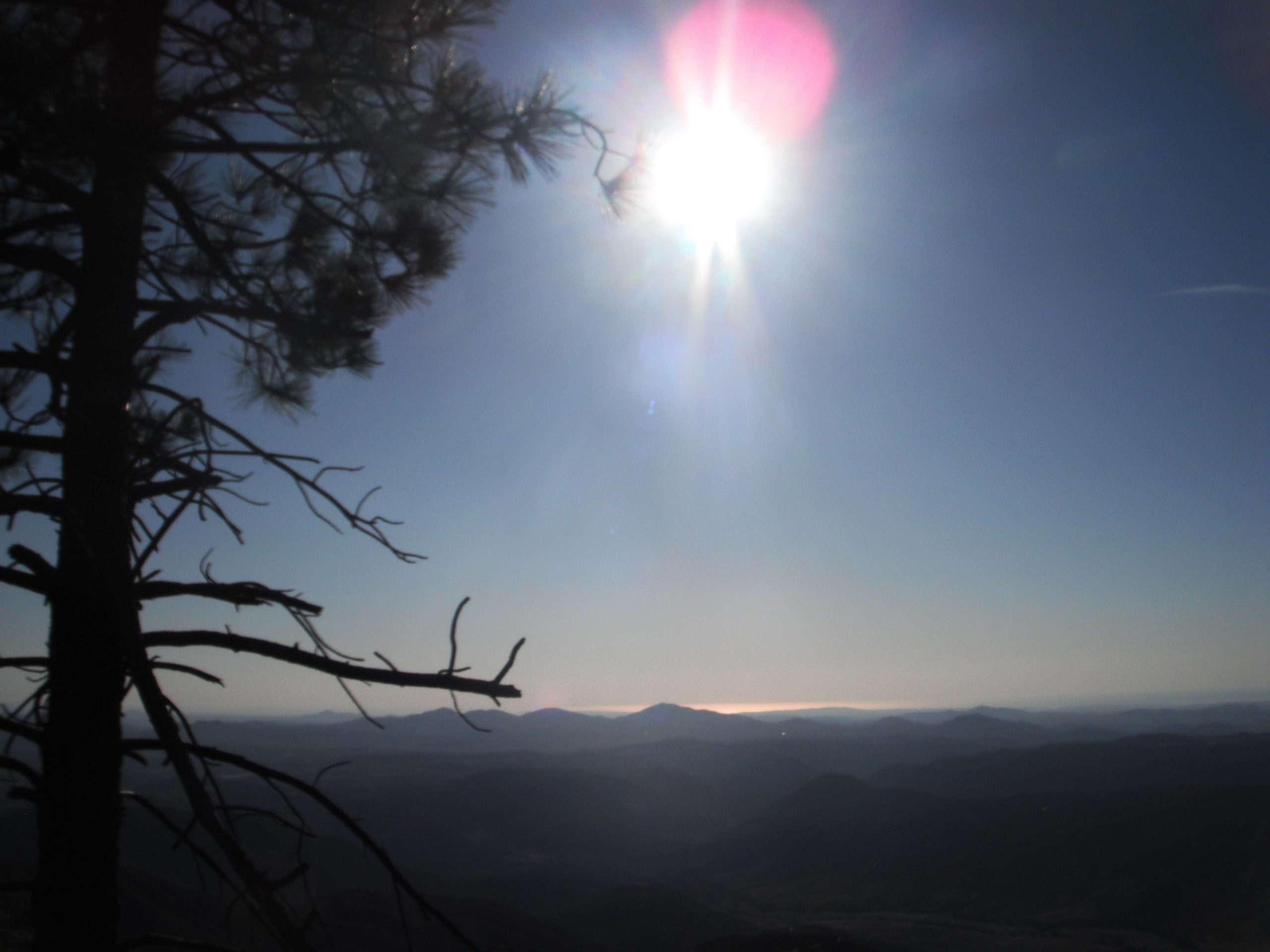 A silhouette of a tree branch in the foreground with a bright sun shining in a clear sky, casting light over distant mountains and valleys in the background. Black Mountain mountain bike trail.