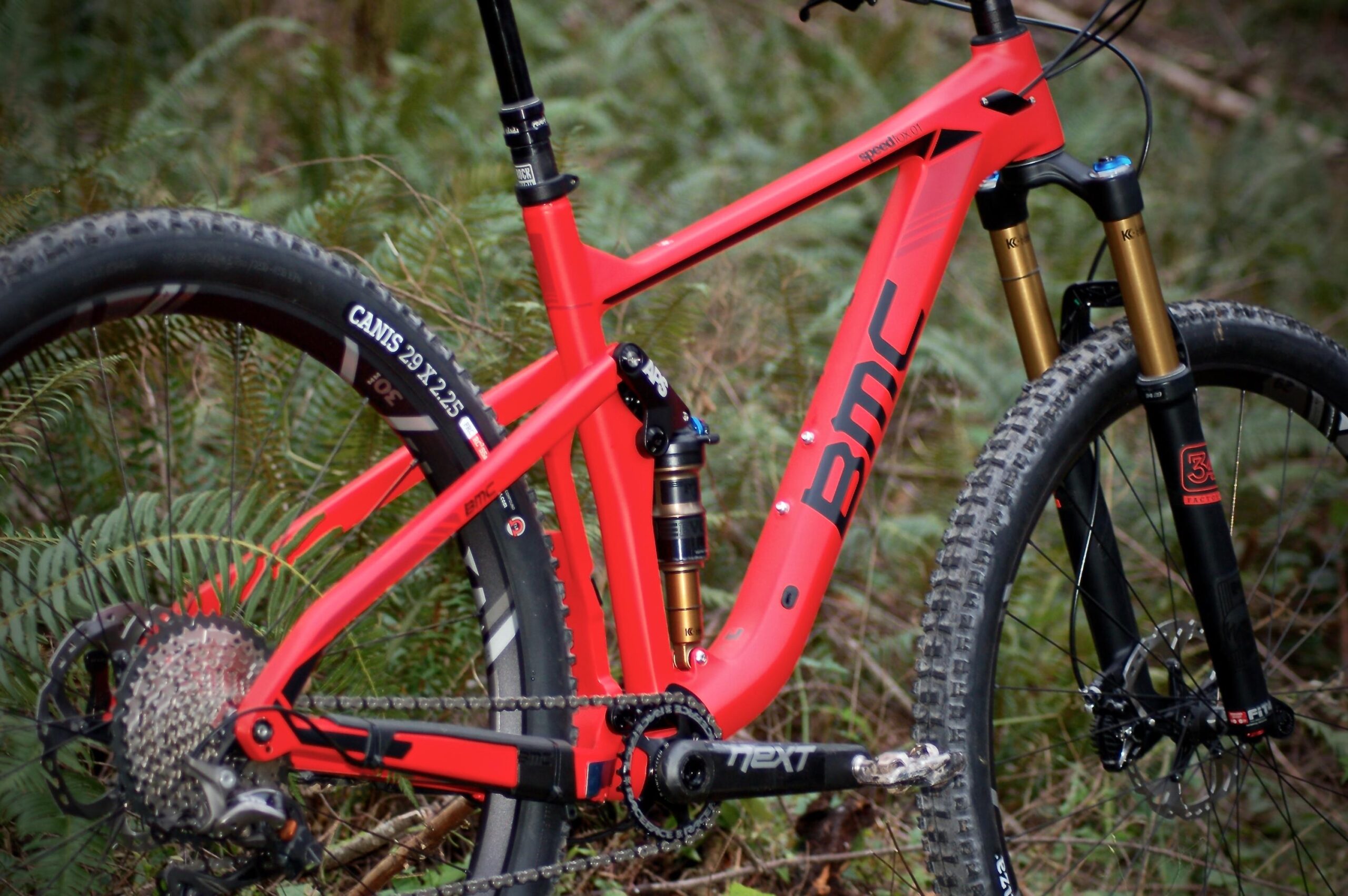 BMC Speedfox 01: A close-up image of a bright red mountain bike frame with gold suspension components, positioned among lush green foliage. The bike features a prominent "BMC" logo and high-performance tires labeled "CANTIS 29 x 2.25." The scene captures the bike's detailed design and robust construction, ideal for off-road cycling.